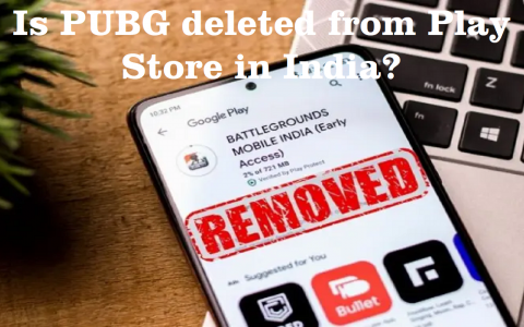 Is PUBG deleted from Play Store in India