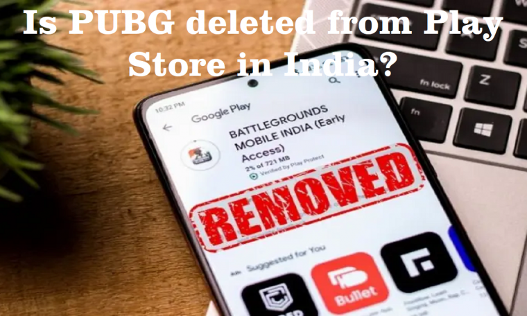 Is PUBG deleted from Play Store in India