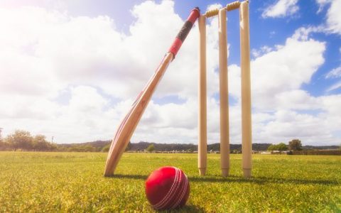 Cricket News And Updates 2022