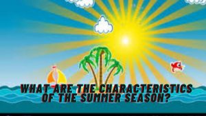 What are the characteristics of the summer season?