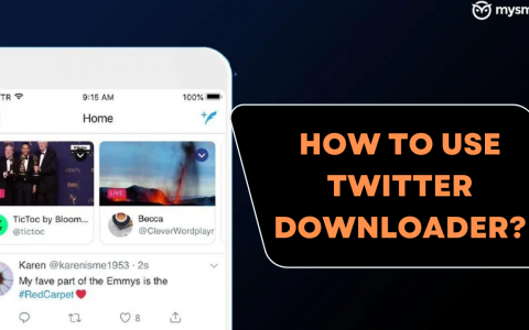 How to use Twitter downloader?