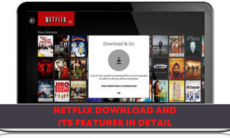 Netflix download and its features in detail