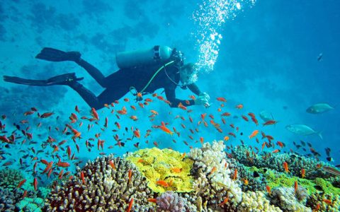 Scuba Diving in Andaman