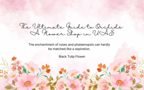 The Ultimate Guide to Orchids A Flower Shop in UAE