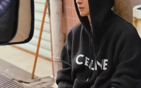 Unveiling the Essence of Style Celine Hoodie Store