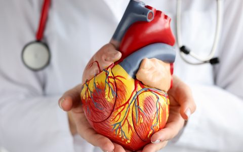 Types of Chest and Heart Pains - Why to Take it Seriously?