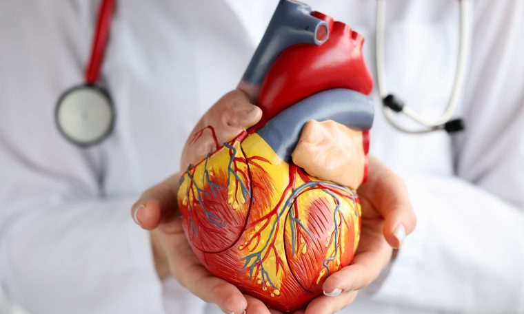 Types of Chest and Heart Pains - Why to Take it Seriously?