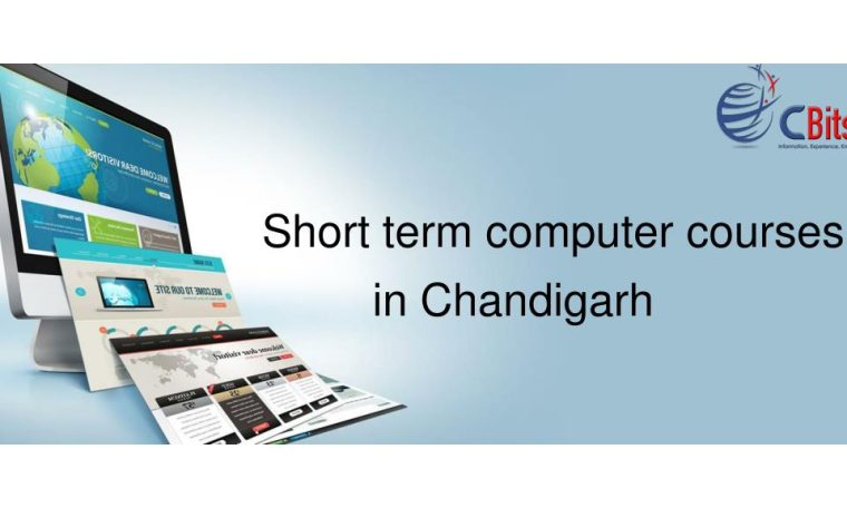 Best Computer Courses Institute in Chandigarh Sector 34