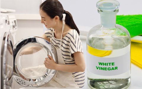 Washing Machine Clean By Using Vinegar