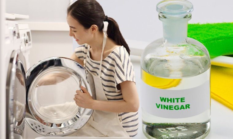 Washing Machine Clean By Using Vinegar