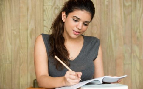 professional essay writing service