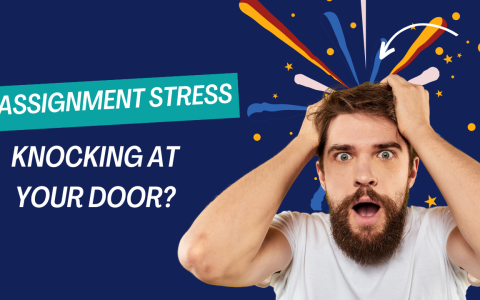 Are you stressed with the assignment?