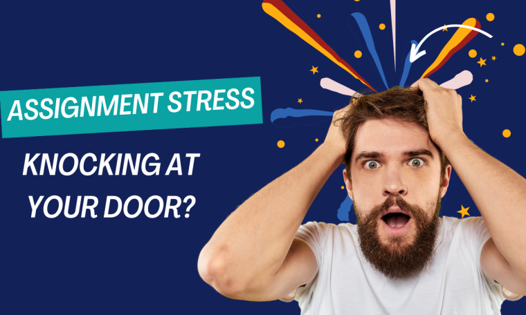 Are you stressed with the assignment?