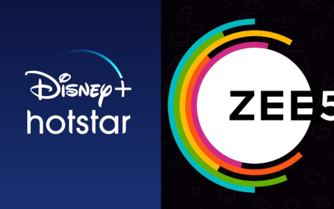 Disney+ Hotstar Plans vs zee5