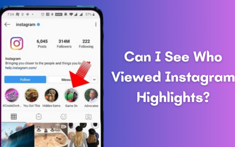 Who Viewed Instagram Highlights