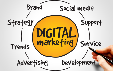 Digital Marketing Services