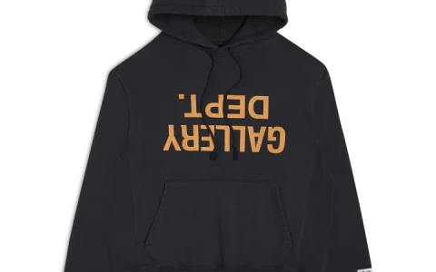 Lanvin Hoodie