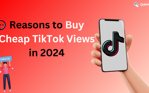 Reasons to Buy Cheap TikTok Views in 2024 - Qubeviews