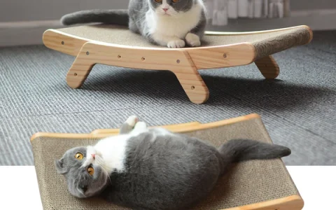 Cat Scratcher Bed