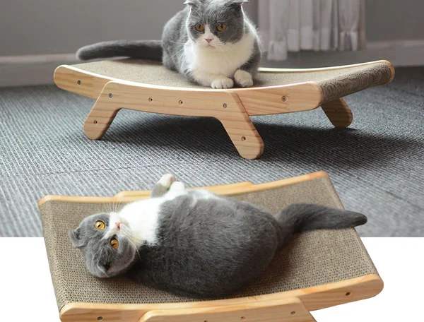 Cat Scratcher Bed