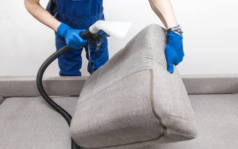 Upholstery Cleaning