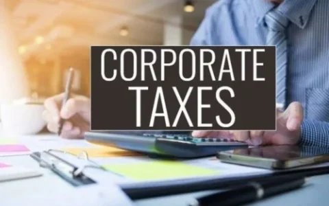 corporate tax consultant
