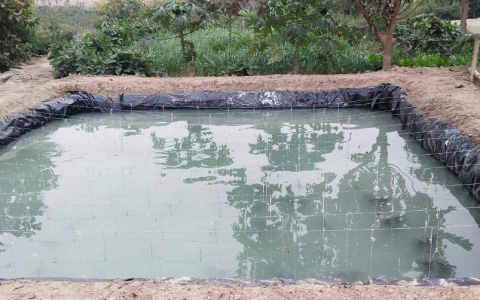 Pond Lining Sheets
