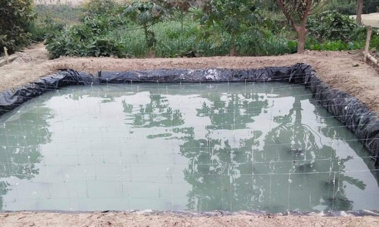 Pond Lining Sheets