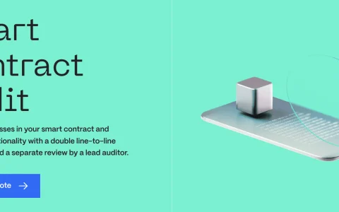 smart contract audit