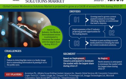 Content Moderation Solutions Market