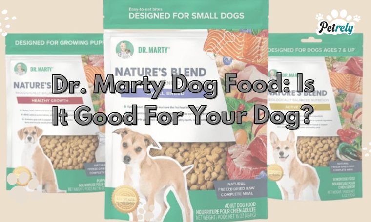Dr. Marty Dog Food Is It Good For Your Dog