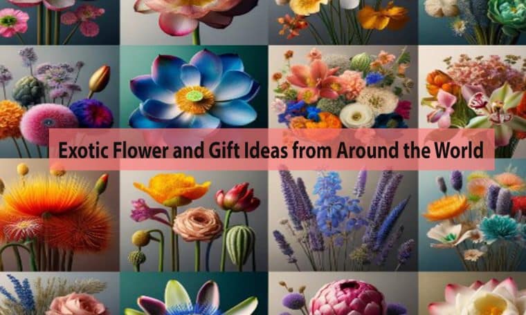 Exotic Flower and Gift Ideas from Around the World - SSK