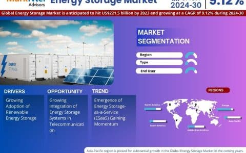 Global Energy Storage Market