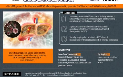 Global Hepatocellular Carcinoma (HCC) Market