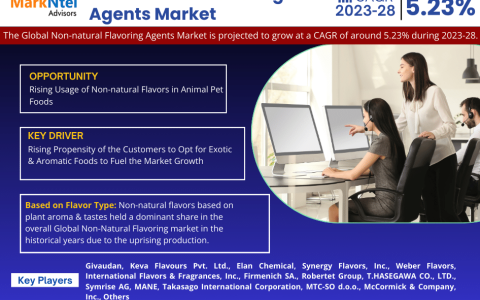 Global Non-natural Flavoring Agents Market