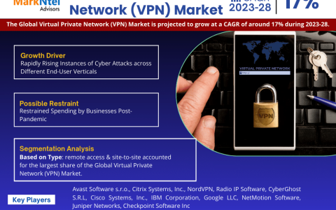 Global Virtual Private Network (VPN) Market