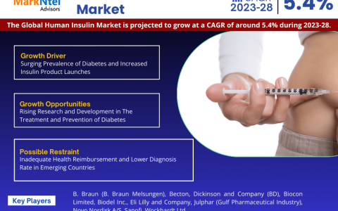 Human Insulin Market