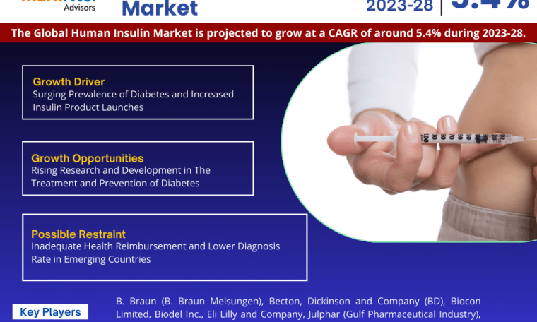 Human Insulin Market