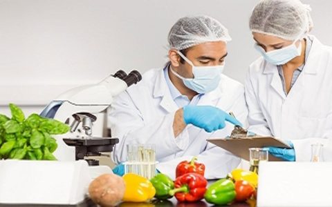 India Food Pathogen Testing Market