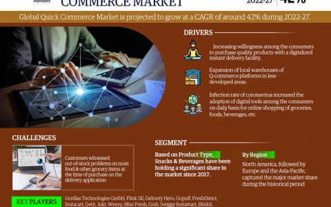 Quick Commerce (Q-Commerce) Market