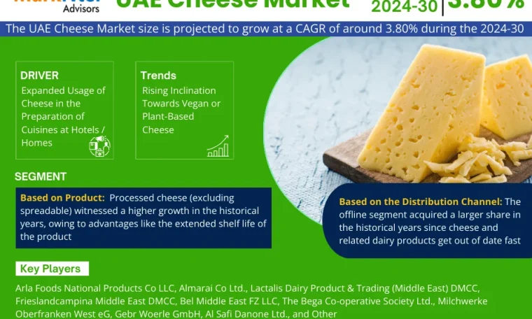 UAE Cheese Market
