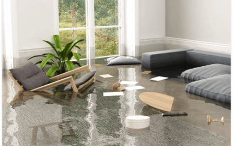 Professional Water Damage Restoration Service in Bothell, WA