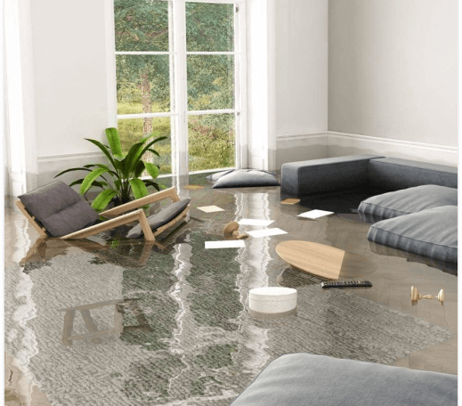Professional Water Damage Restoration Service in Bothell, WA