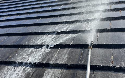 Premier Roof Cleaning Services in Portland and Salem, OR