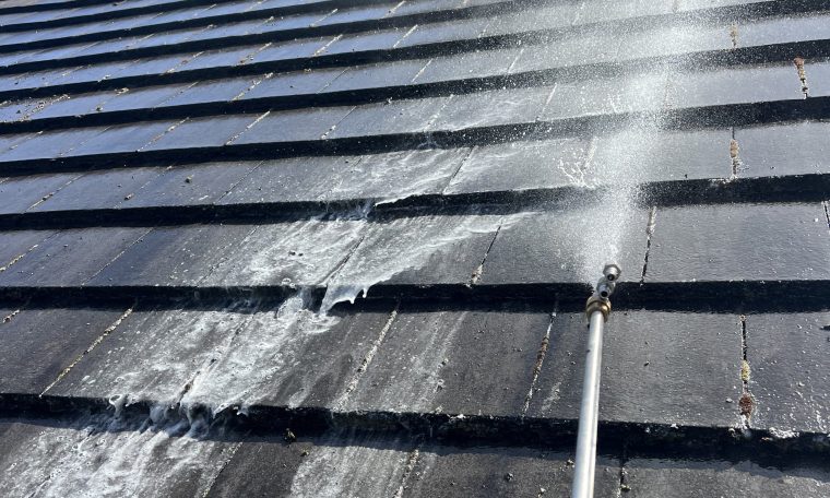 Premier Roof Cleaning Services in Portland and Salem, OR