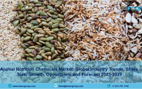 Animal Nutrition Chemicals Market
