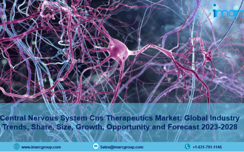 Central Nervous System CNS Therapeutics Market