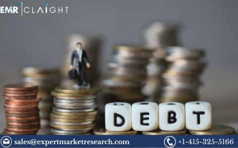 Debt Financing Market