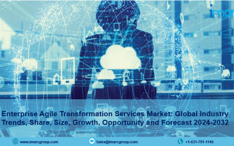 Enterprise Agile Transformation Services Market