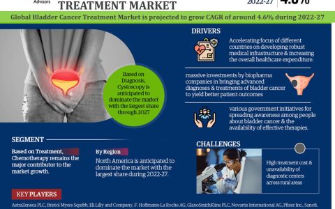 Global Bladder Cancer Treatment Market